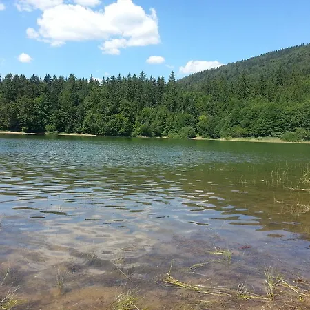 Apartman Tale דירה