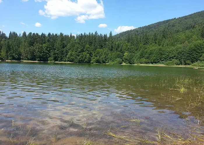 Apartman Tale Apartment